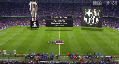 可计分资产 可计分资产